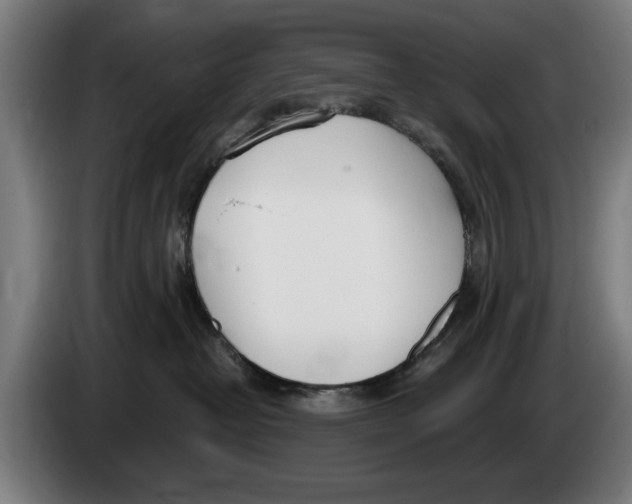 X0000086250382200704191848