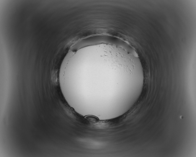 X0000086250383200704191848