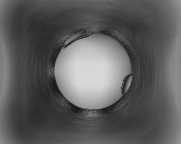 X0000086250384200704191848