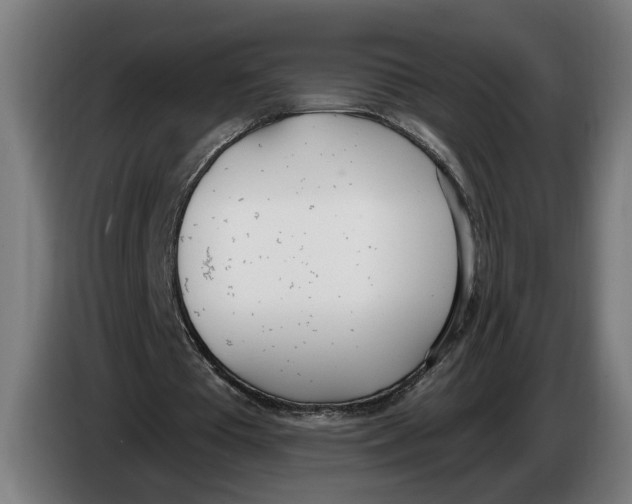 X0000086250385200704191847