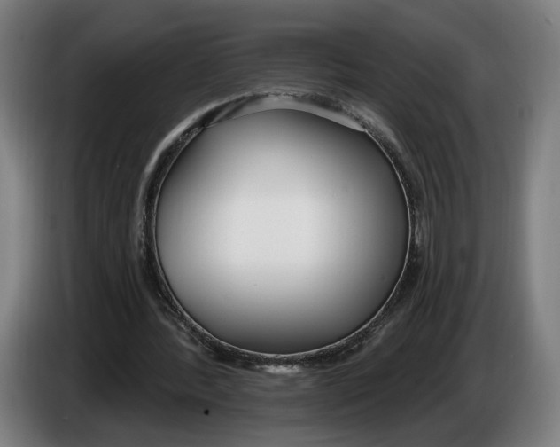 X0000086250388200704191847