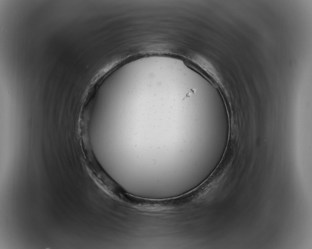 X0000086250389200704191847