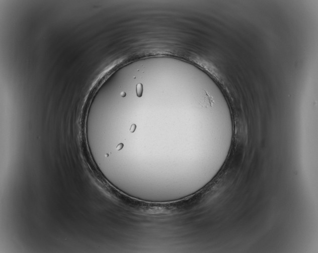X0000086250390200704191847