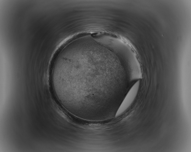 X0000086250391200704191847