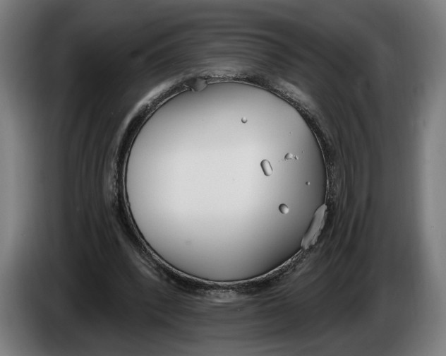 X0000086250392200704191847