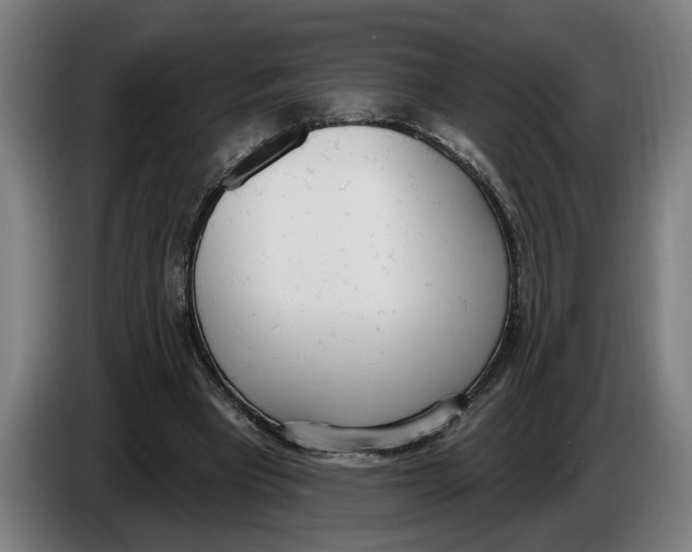 X0000086250393200704191847