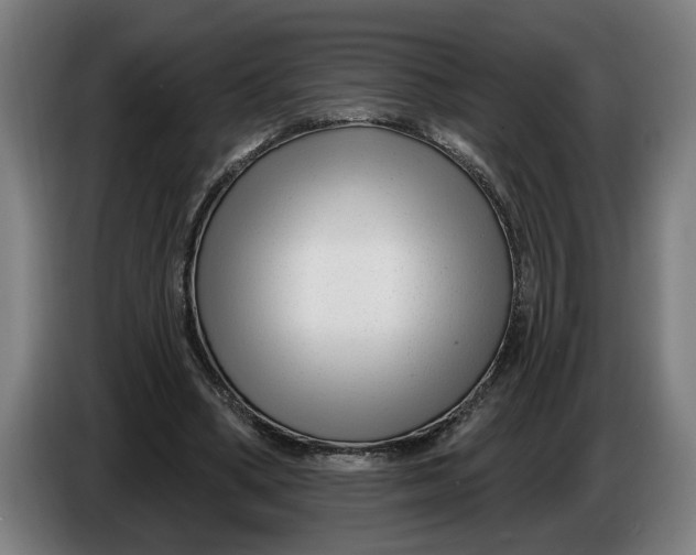 X0000086250394200704191847