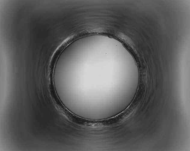 X0000086250395200704191847