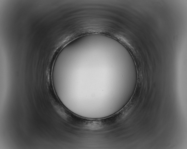 X0000086250398200704191847