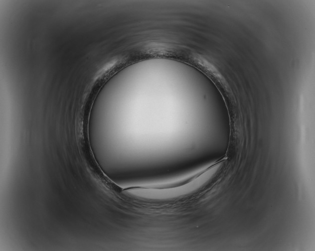 X0000086250399200704191847