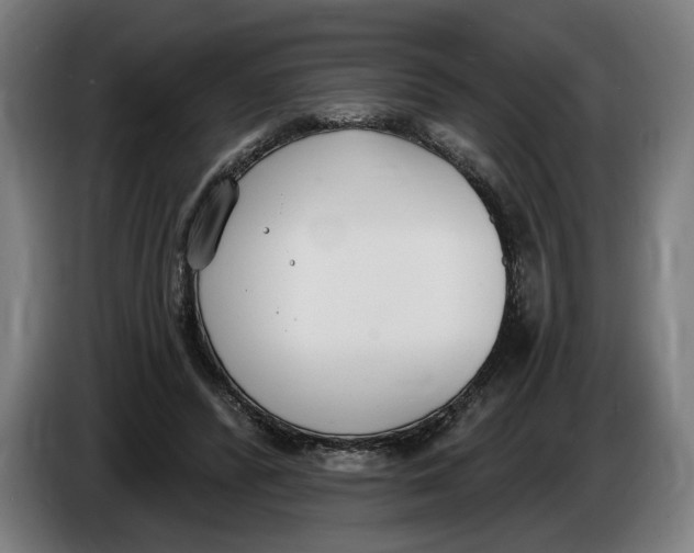 X0000086250400200704191847
