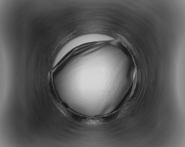 X0000086250405200704191847
