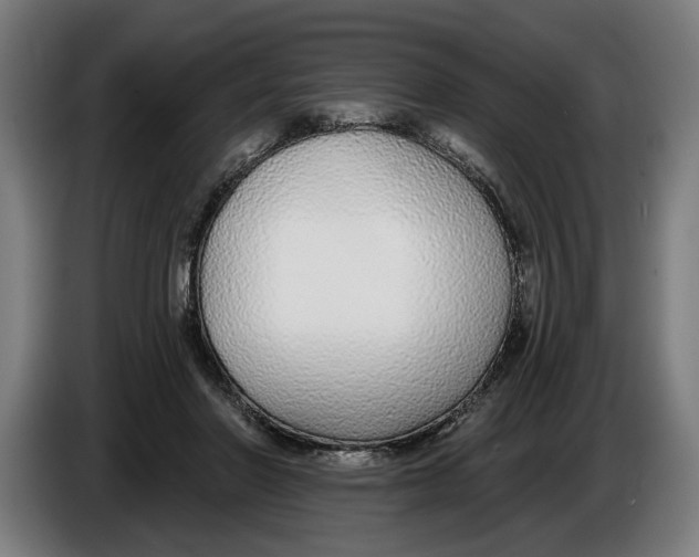 X0000086250406200704191847