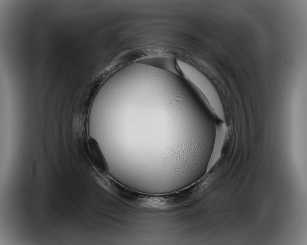 X0000086250409200704191847