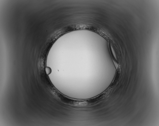 X0000086250410200704191847