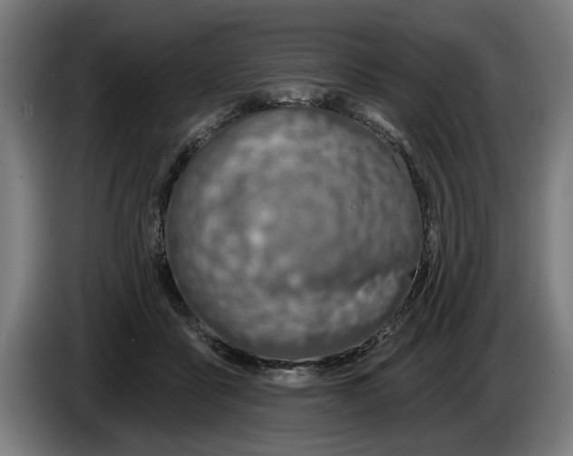 X0000086250411200704191847