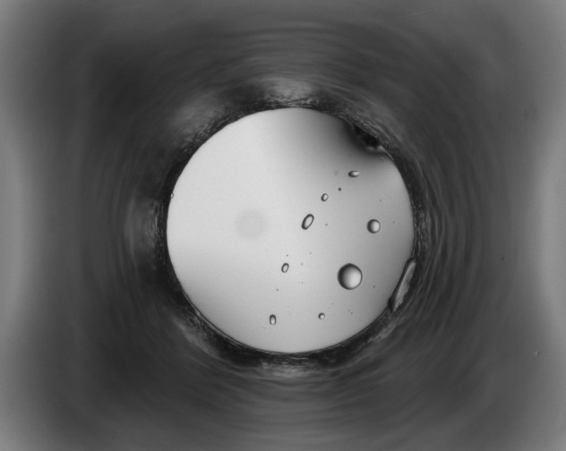 X0000086250412200704191847