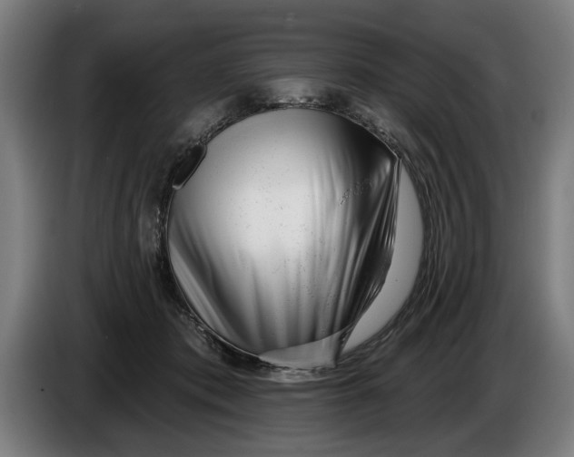 X0000086250413200704191847