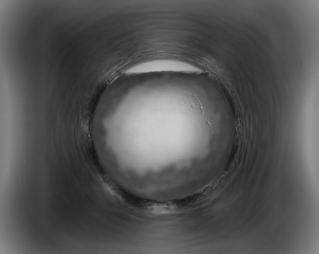 X0000086250415200704191847