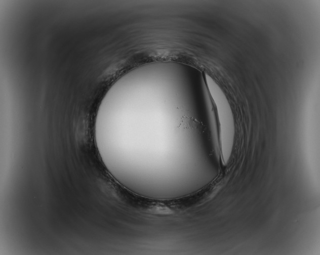 X0000086250416200704191847