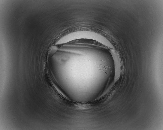X0000086250417200704191846