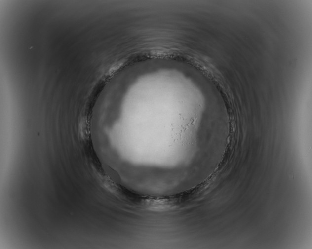 X0000086250419200704191846