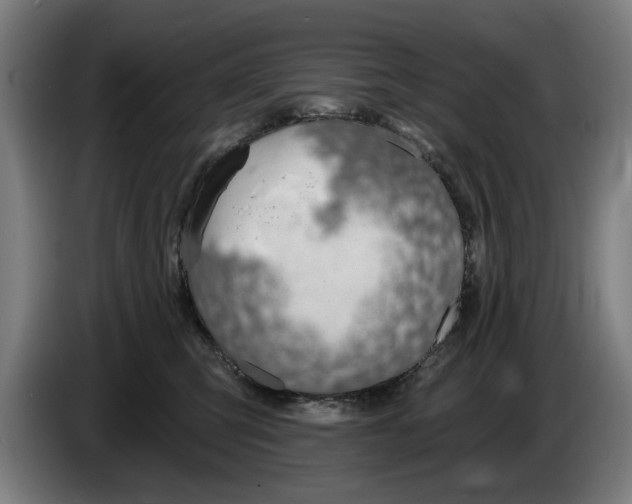 X0000086250423200704191846