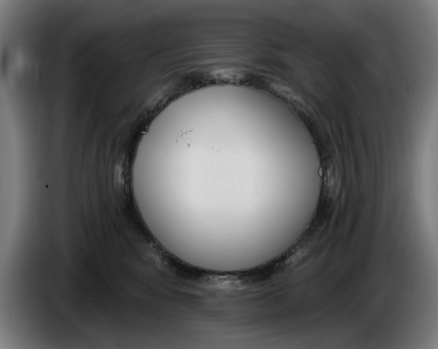 X0000086250424200704191846