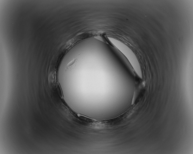 X0000086250425200704191846