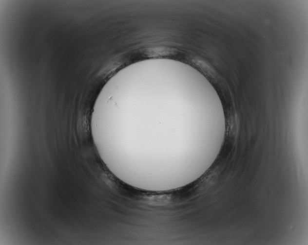 X0000086250426200704191846