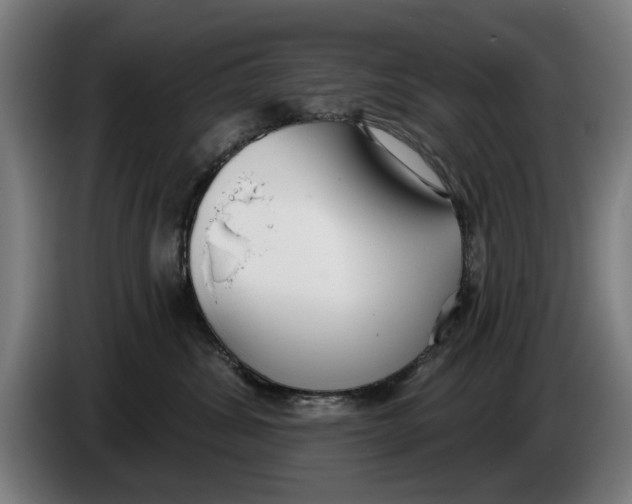 X0000086250428200704191846
