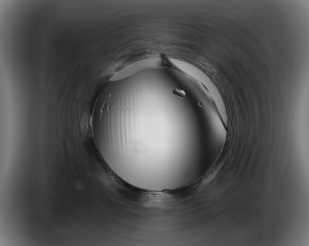 X0000086250429200704191846