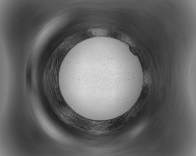 X0000086250431200704191846