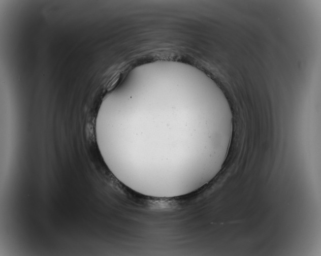 X0000086250432200704191846