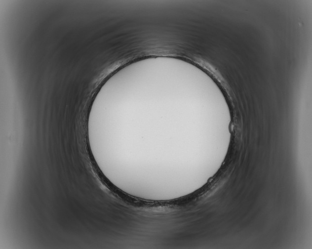 X0000086250433200704191846
