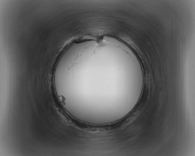 X0000086250434200704191846