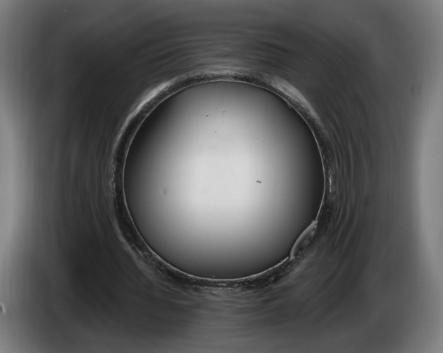X0000086250436200704191846