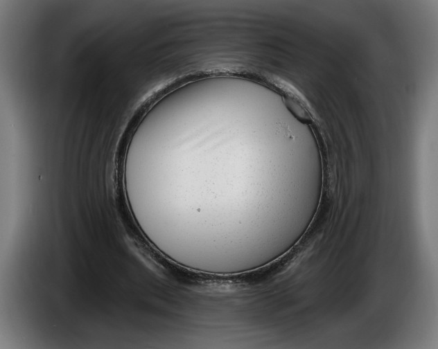 X0000086250439200704191846