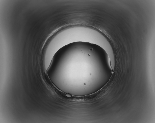 X0000086250440200704191846