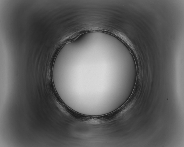 X0000086250441200704191846