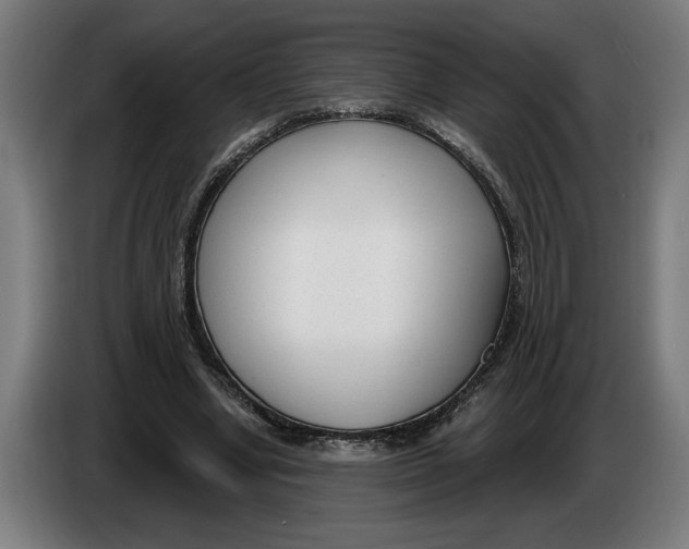 X0000086250442200704191846