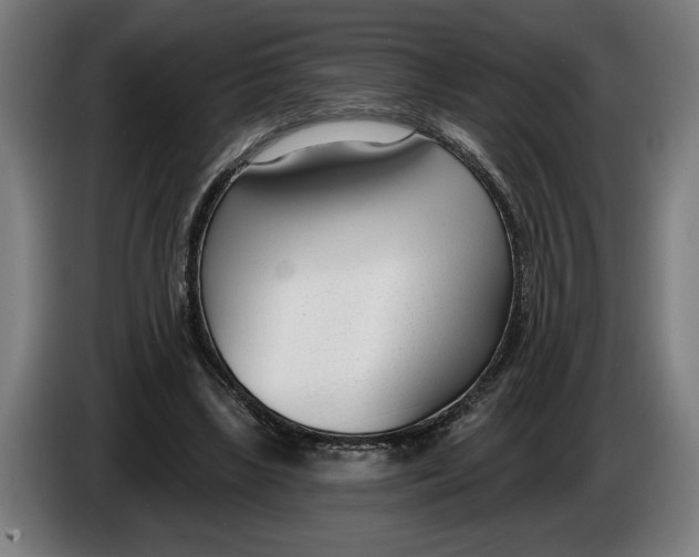 X0000086250443200704191846