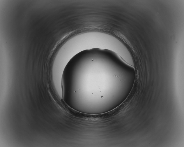 X0000086250444200704191846