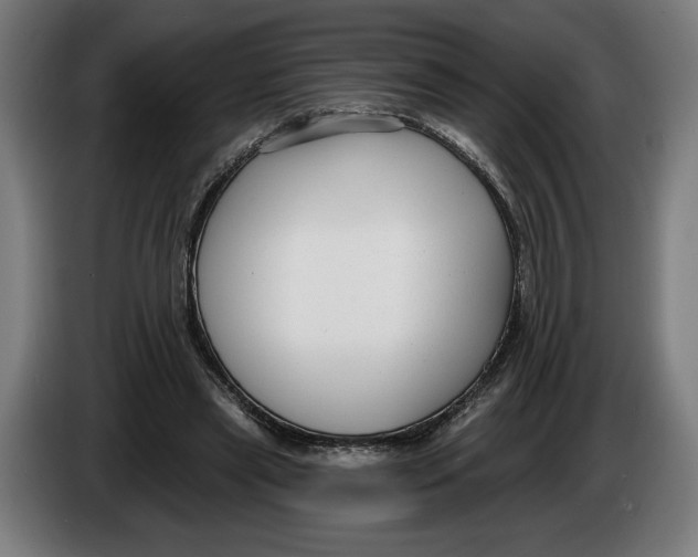X0000086250445200704191846