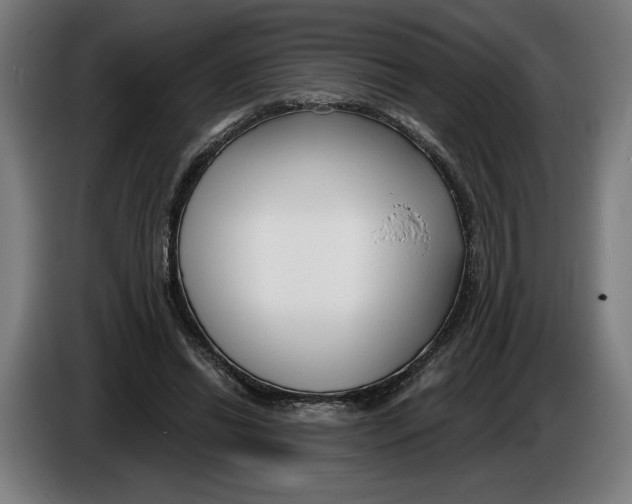 X0000086250446200704191846