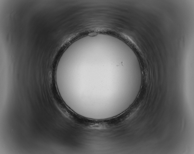 X0000086250447200704191846