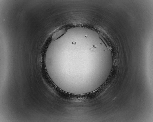 X0000086250448200704191846