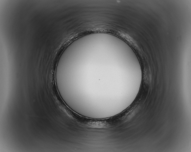 X0000086250449200704191846