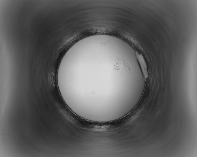 X0000086250450200704191846