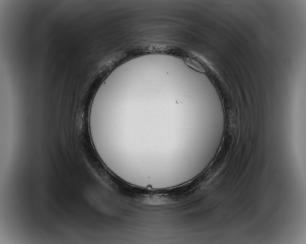 X0000086250451200704191846